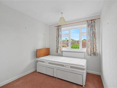 Picture 19